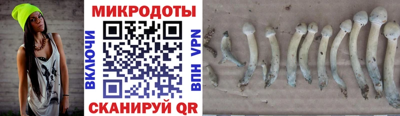 где можно купить   Макушино  Галлюциногенные грибы мухоморы 